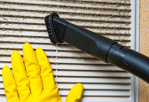Best Air Vent Cleaning Services  in Bidwell, OH